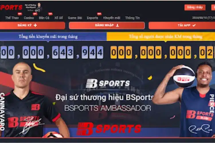 Thông tin tổng quan về Bsport Bty338