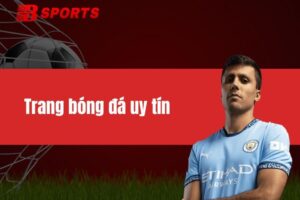 Trang bóng đá uy tín - Lựa chọn tối ưu cho người chơi