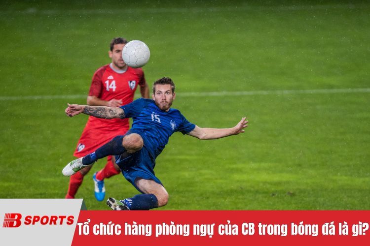 Tổ chức hàng phòng ngự của CB trong bóng đá là gì?